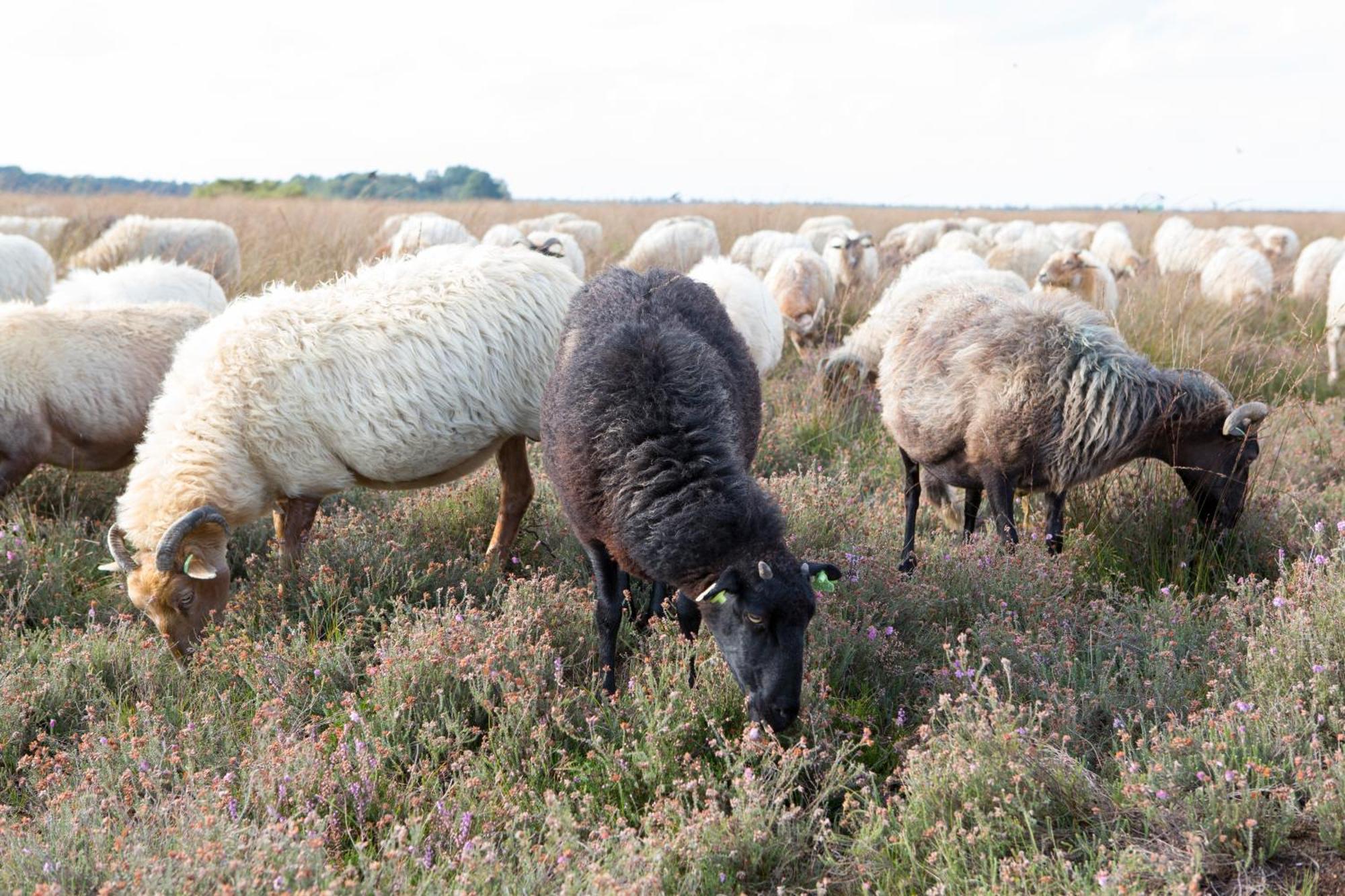 The Barnyard Bed and Breakfast Balinge Exteriör bild